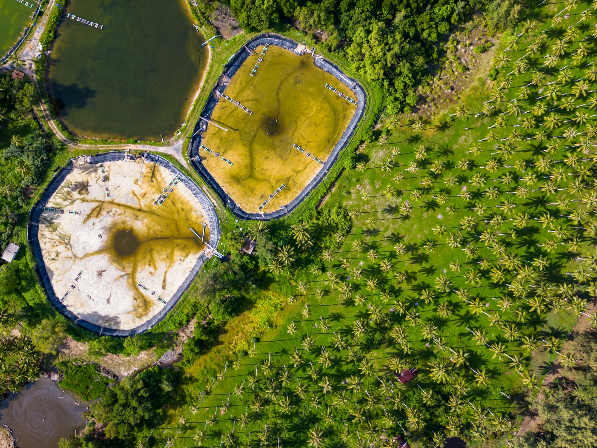 Aerial view of shrimp aquaculture ponds in Southeast Asia